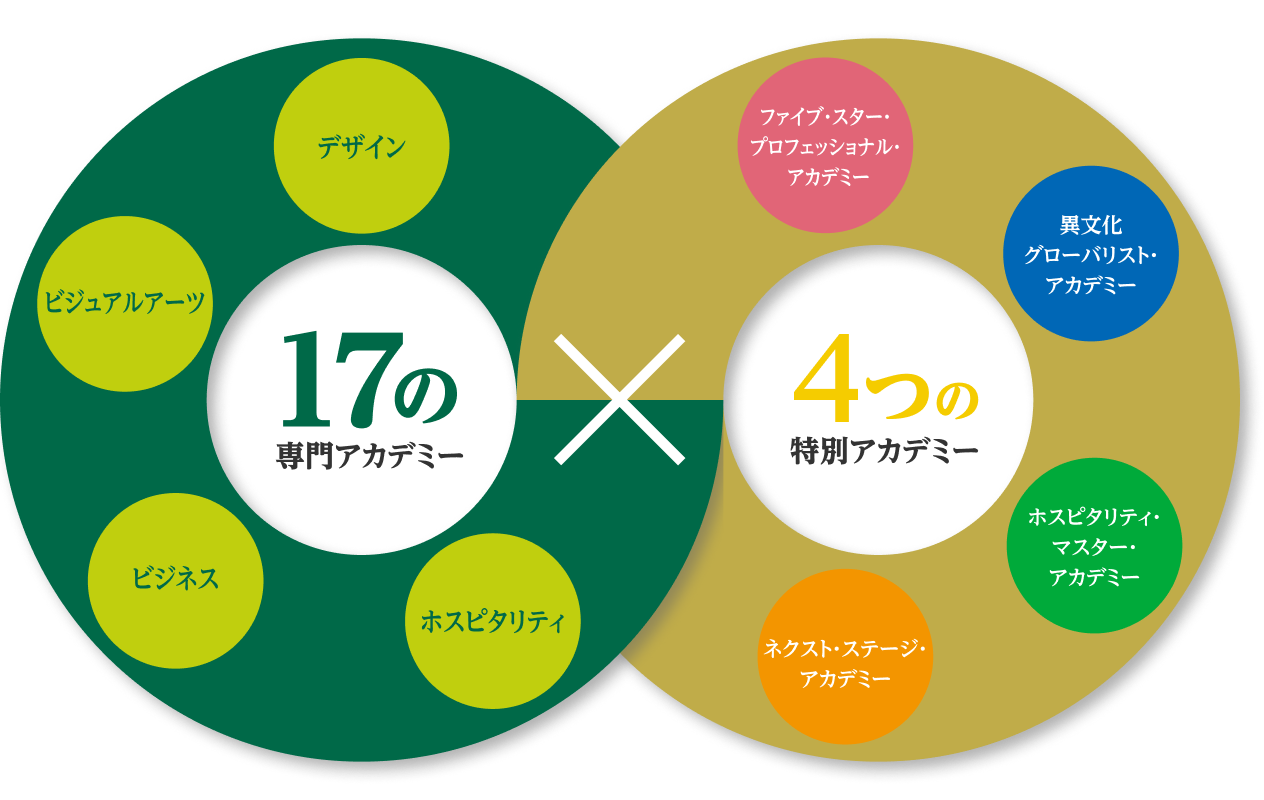 １７の専門アカデミー 45の専門分野