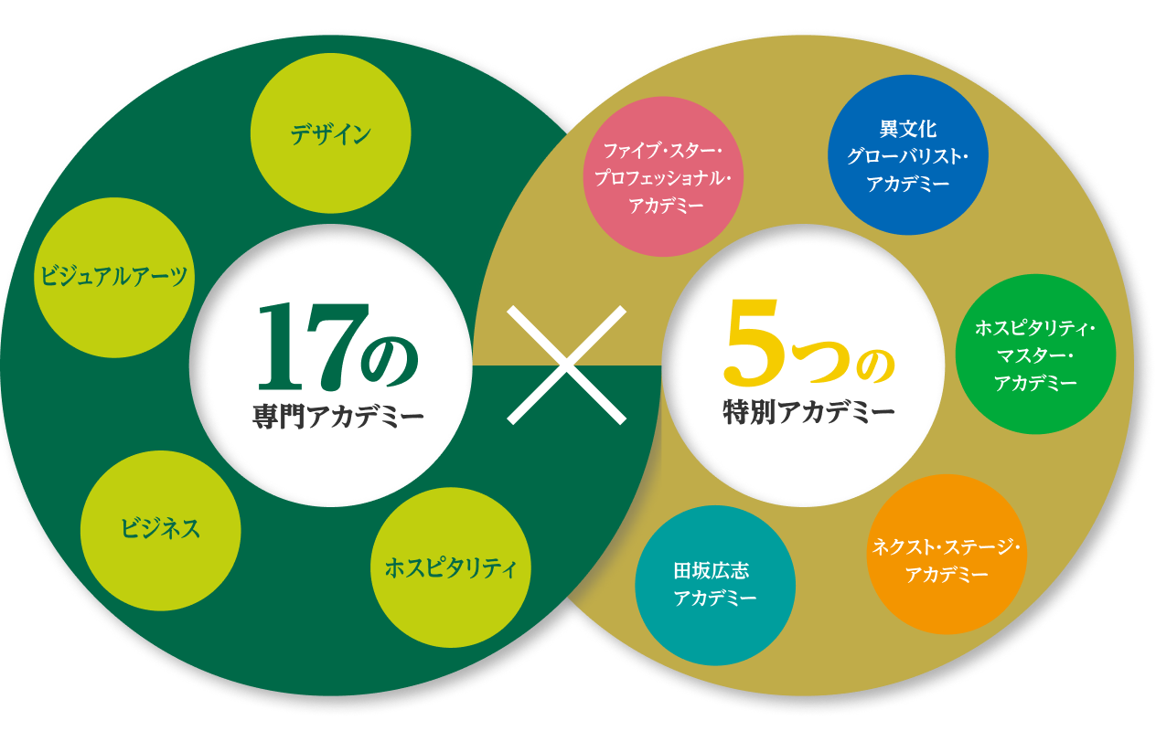 １７の専門アカデミー 45の専門分野